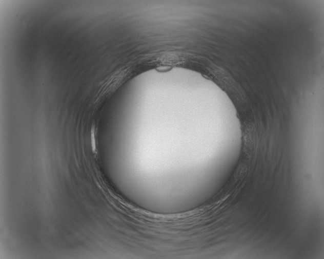 X0000059080046200510070941