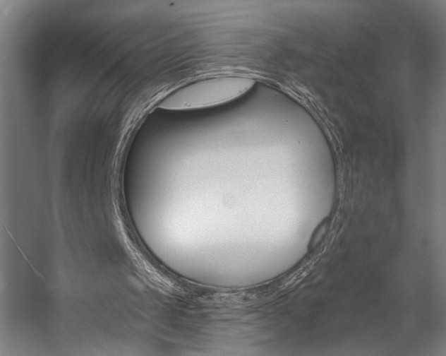X0000059080049200510070940