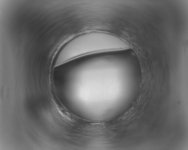 X0000059080050200510070940