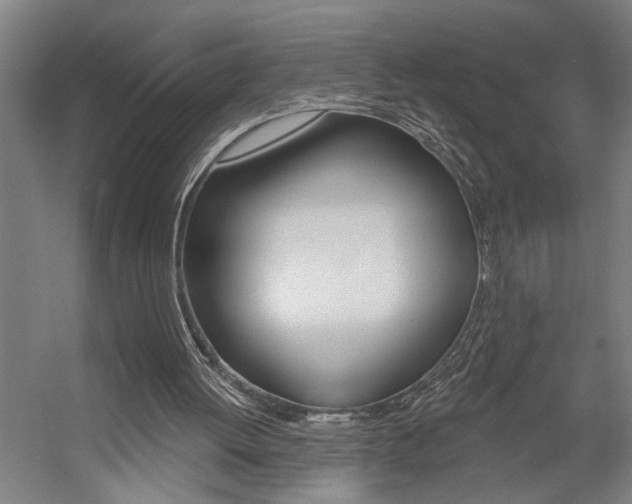 X0000059080052200510070940