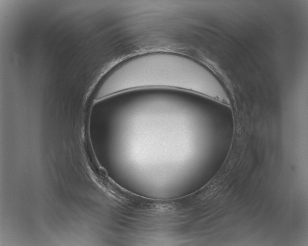 X0000059080060200510070940