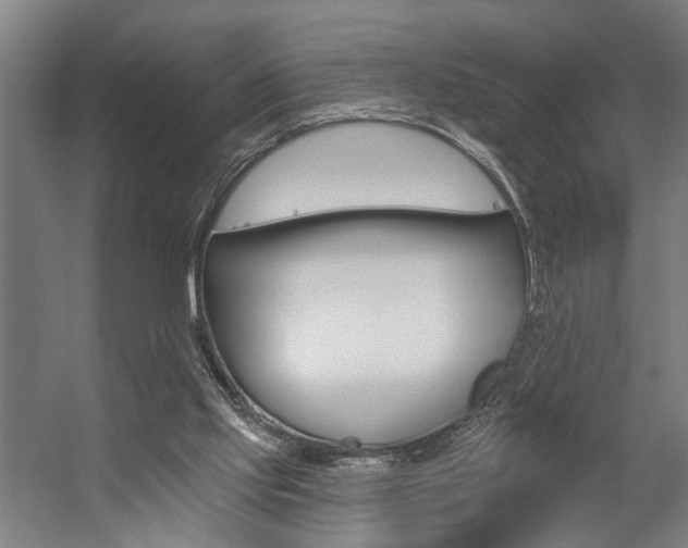 X0000059080061200510070940
