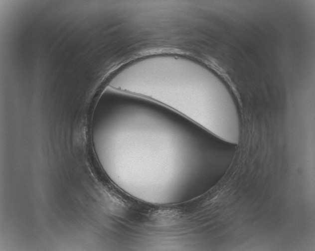 X0000059080063200510070940