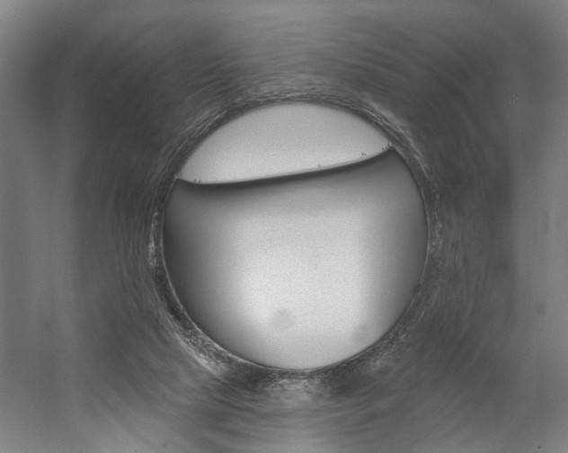 X0000059080065200510070940
