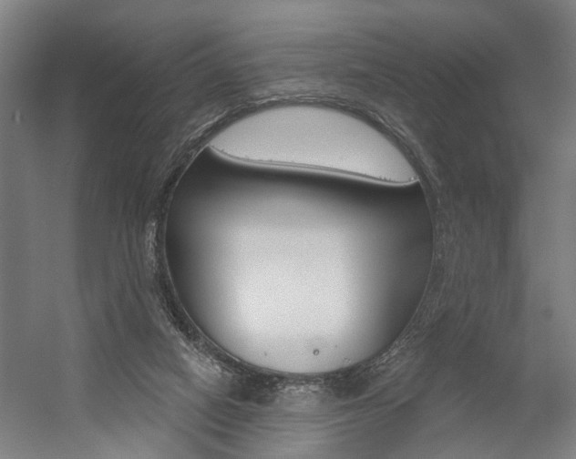 X0000059080066200510070941