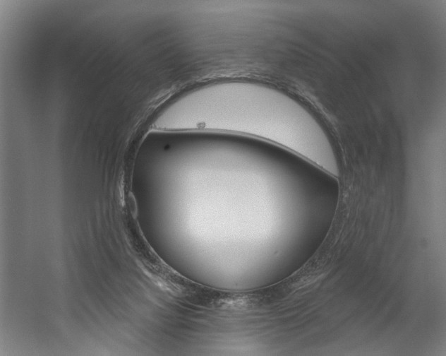 X0000059080068200510070941