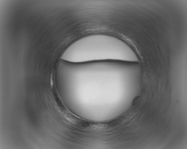 X0000059080069200510070941