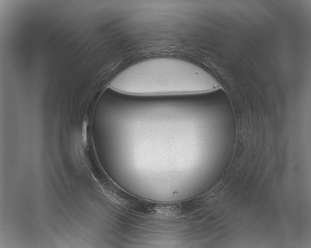 X0000059080070200510070941