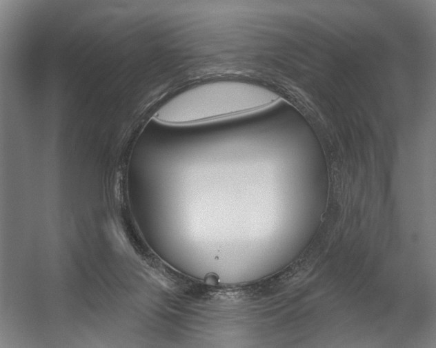 X0000059080071200510070941