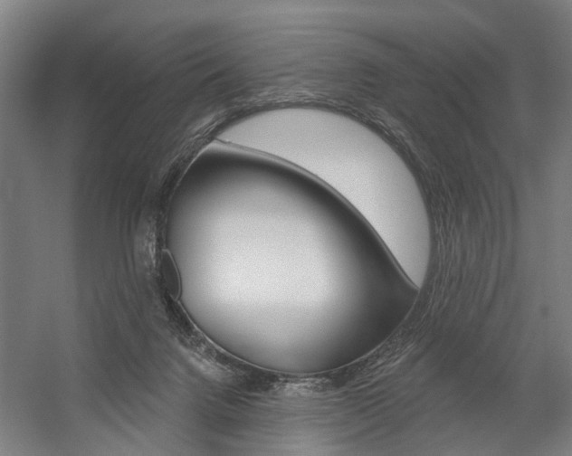 X0000059080072200510070941
