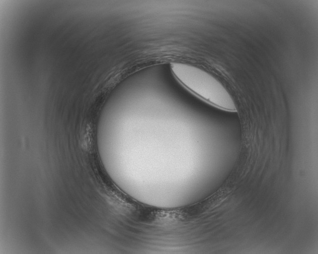 X0000059080077200510070941