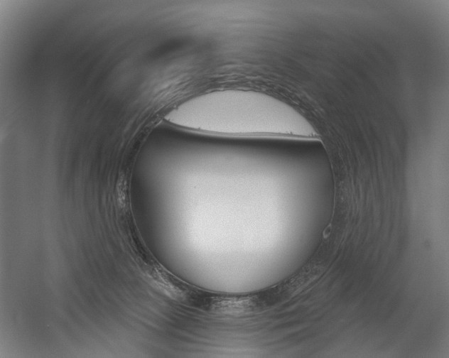 X0000059080081200510070941
