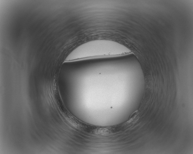 X0000059080086200510070941