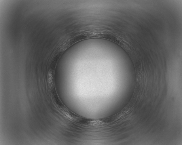 X0000059080087200510070941