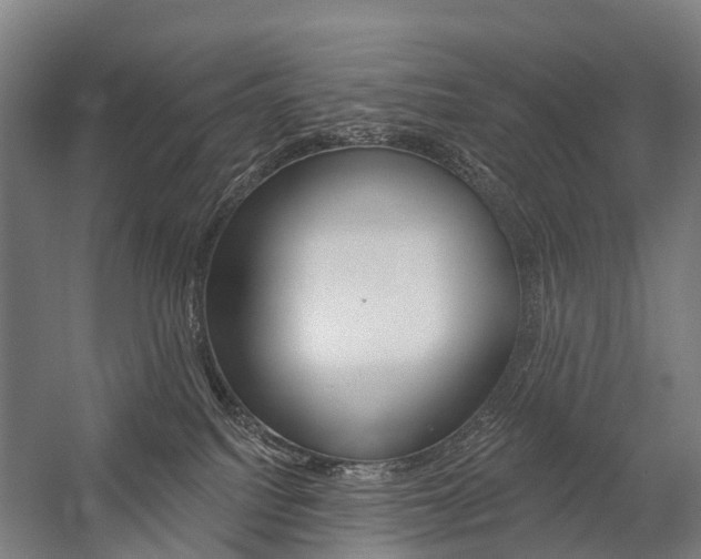 X0000059080088200510070941