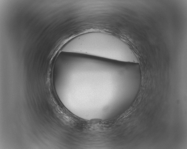 X0000059080098200510070940