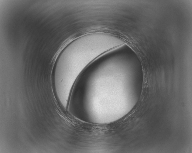 X0000059080099200510070940