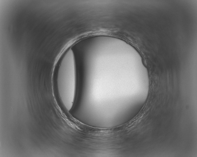 X0000059080102200510070940
