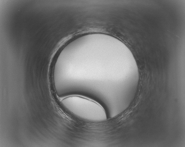 X0000059080104200510070940