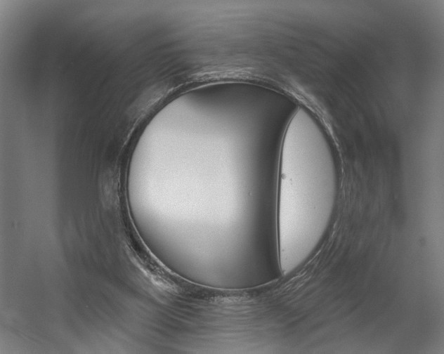 X0000059080107200510070940