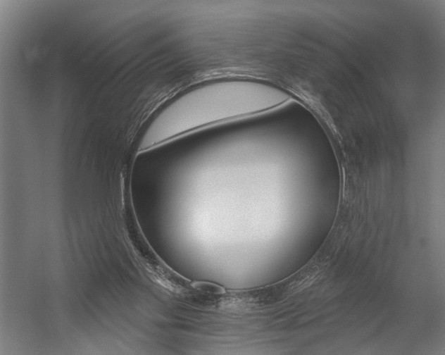 X0000059080109200510070940