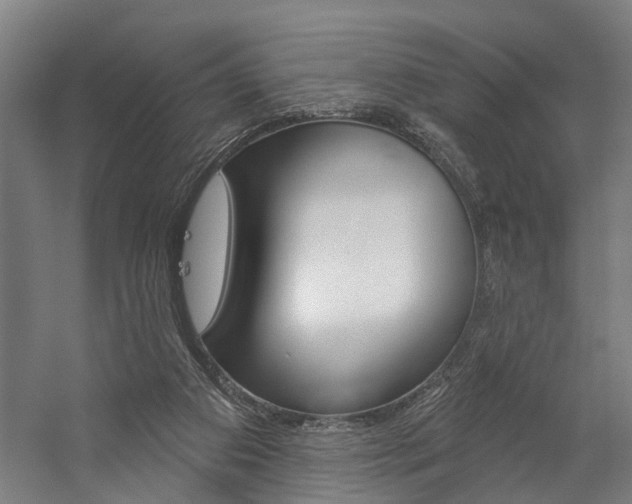 X0000059080113200510070940