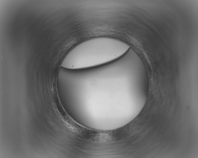 X0000059080114200510070940