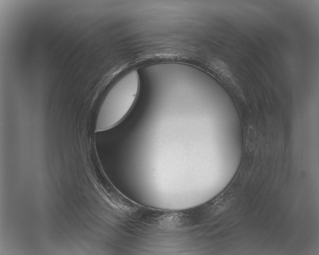 X0000059080116200510070940