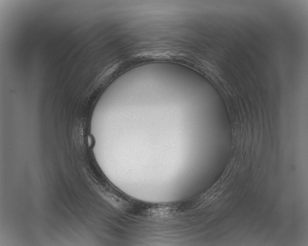 X0000059080120200510070940