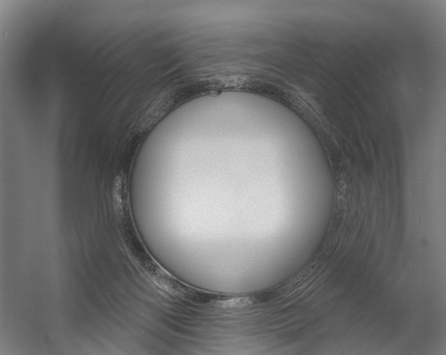 X0000059080122200510070940