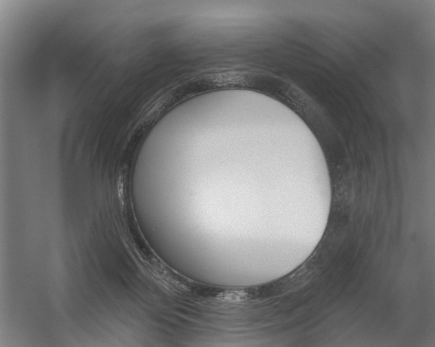 X0000059080124200510070940
