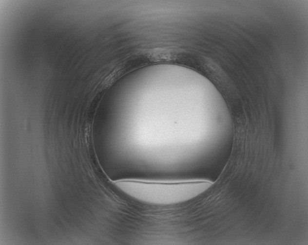 X0000059080125200510070940