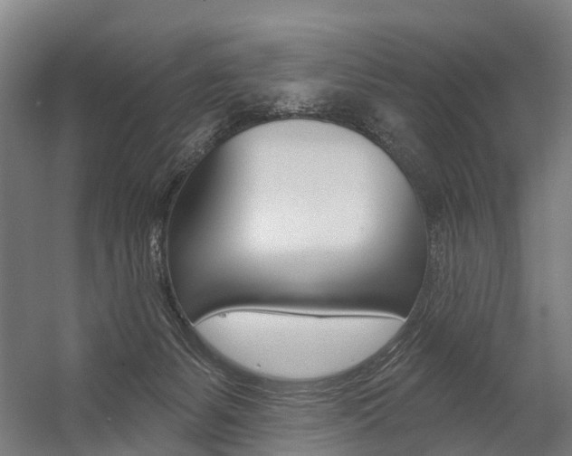 X0000059080127200510070940