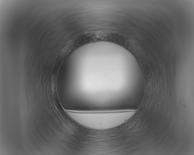 X0000059080129200510070940