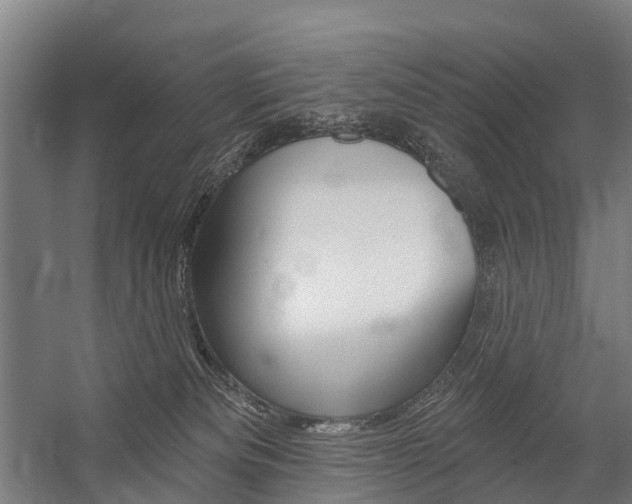 X0000059080133200510070940
