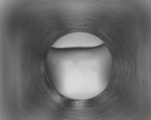 X0000059080134200510070940