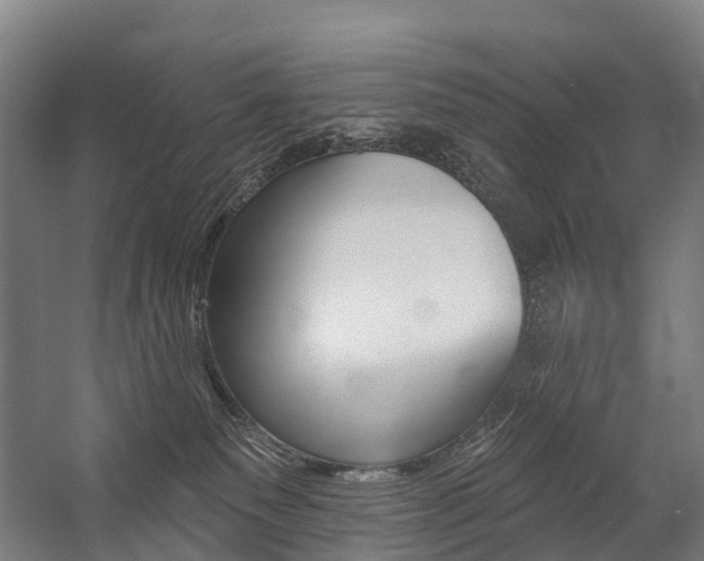 X0000059080135200510070940