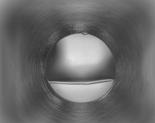 X0000059080136200510070940