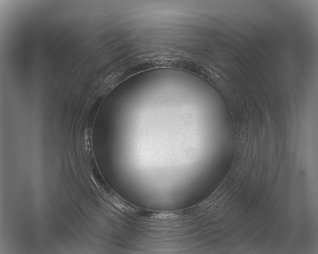 X0000059080137200510070940