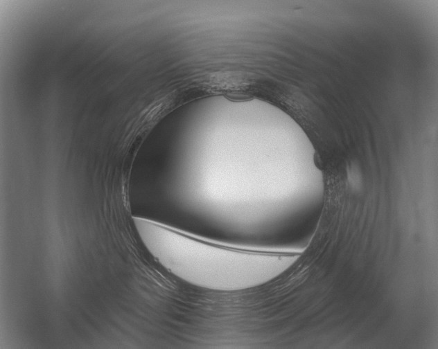 X0000059080143200510070939