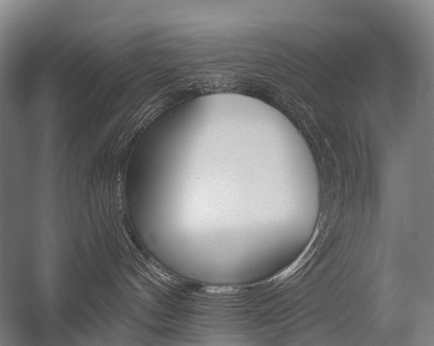 X0000059080144200510070939