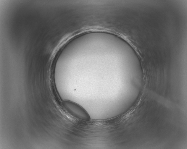 X0000059080151200510070939