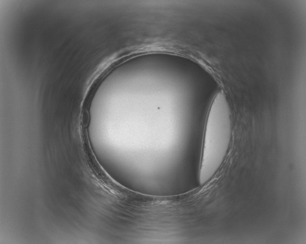X0000059080152200510070939