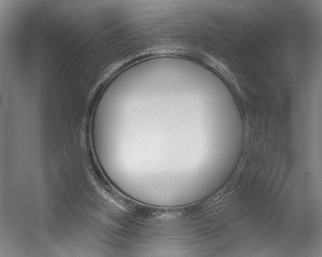 X0000059080155200510070939