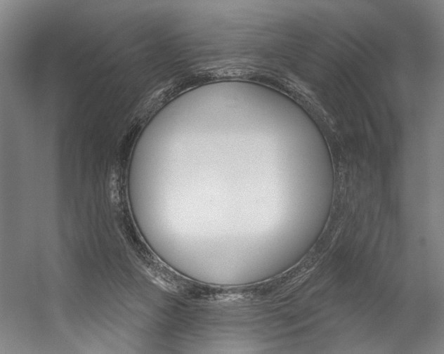X0000059080161200510070939