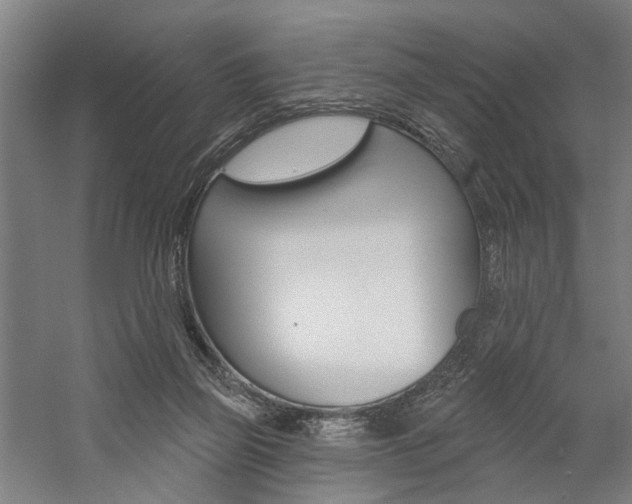 X0000059080165200510070939