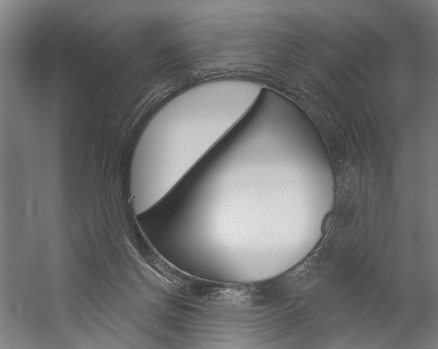 X0000059080166200510070939