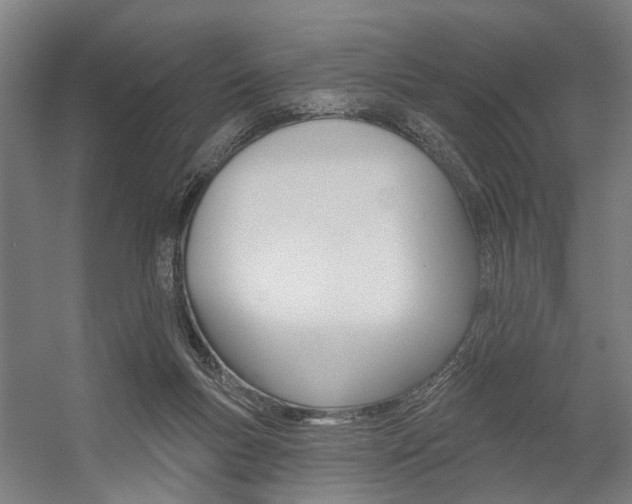 X0000059080167200510070939
