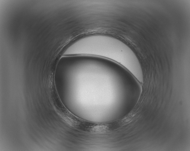 X0000059080168200510070939