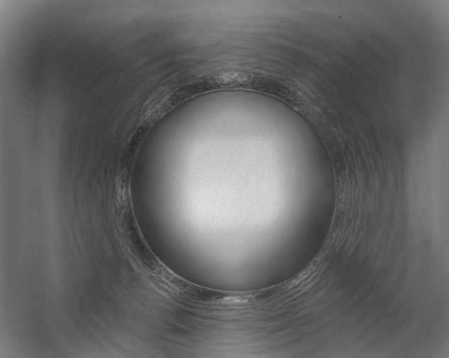 X0000059080176200510070939